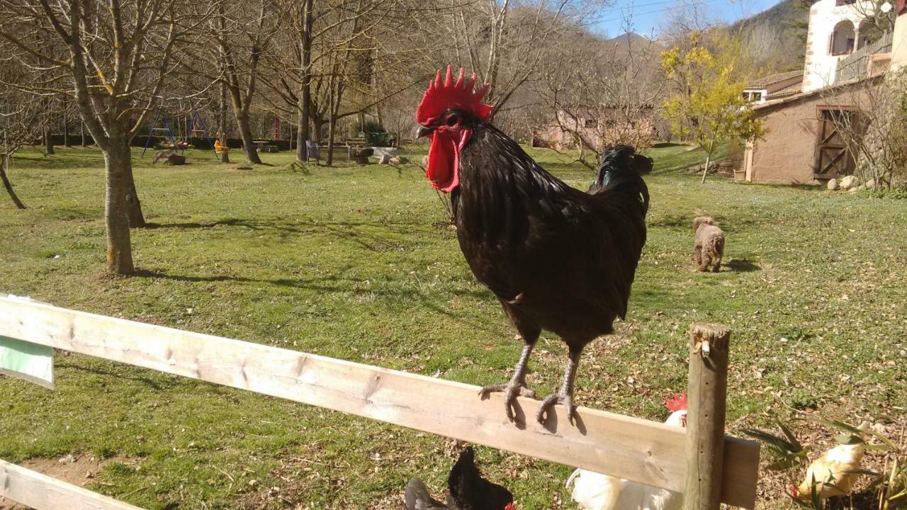 El Moli D'En Sola-Allotjaments Rurals La Vall de Bianya Exterior foto